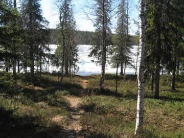 Фотографии Дома для отпуска Holiday Home Kuontijärvi b г. Рука (Финляндия) №5 Фото Дома для отпуска Holiday Home Kuontijärvi b г. Рука 5