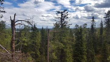 Фото номера Дом для отпуска Дома для отпуска Ylämaja - with a stunning view г. Рука 64