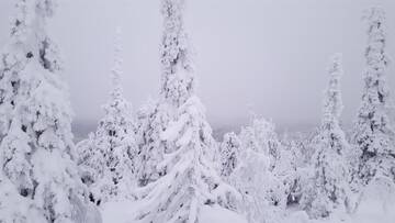 Фото номера Дом для отпуска Дома для отпуска Avatar - Kelo Cottage г. Рука 38