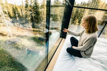 Фото номера Трехместный номер с окном Курортные отели Magical Pond Nature Igloos г. Рука 28