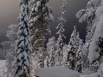 Фото номера Дом для отпуска Дома для отпуска Holiday Home Tyynelä г. Рука 23