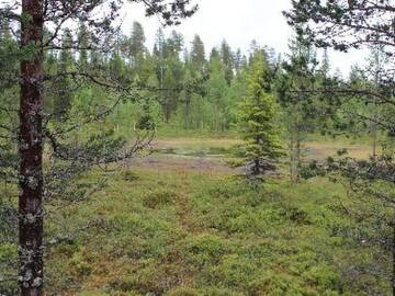 Фото номера Дом для отпуска Дома для отпуска Holiday Home Leija г. Рука 17