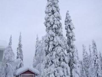 Фото номера Дом для отпуска Дома для отпуска Holiday Home Ruka snow &amp; sun 4 г. Рука 44
