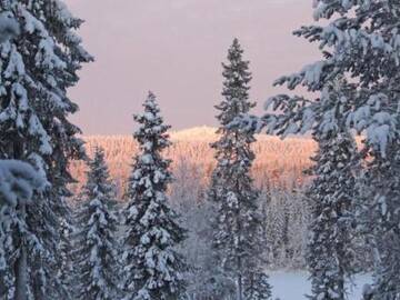 Фото номера Дом для отпуска Дома для отпуска Holiday Home Villa vuosselin taiga г. Рука 15