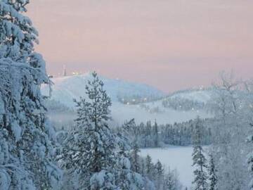 Фото номера Дом для отпуска Дома для отпуска Holiday Home Villa vuosselin taiga г. Рука 28