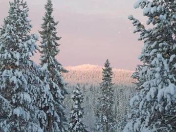 Фото номера Дом для отпуска Дома для отпуска Holiday Home Villa vuosselin taiga г. Рука 3