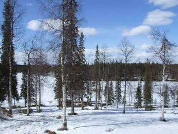 Фото номера Дом для отпуска Дома для отпуска Holiday Home Mestarikämpät b10 г. Рука 9