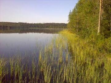Фото номера Дом для отпуска Дома для отпуска Holiday Home Muuttohaukka г. Рука 12