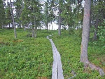 Фото номера Дом для отпуска Дома для отпуска Holiday Home Seitsemän savua 3 г. Рука 28