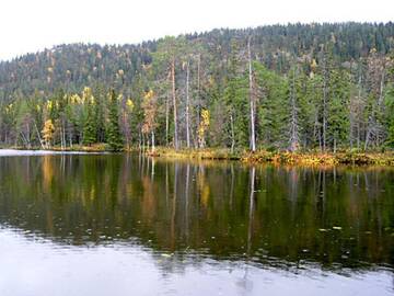 Фото номера Дом для отпуска Дома для отпуска Holiday Home Pöllölaakso г. Рука 24