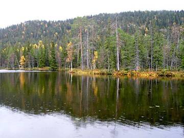 Фото номера Дом для отпуска Дома для отпуска Holiday Home Pöllölaakso г. Рука 50