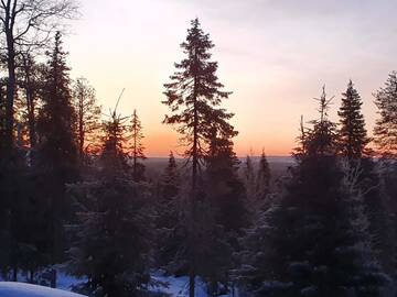 Фото номера Вилла Виллы Hietavilla Aurora г. Рука 43