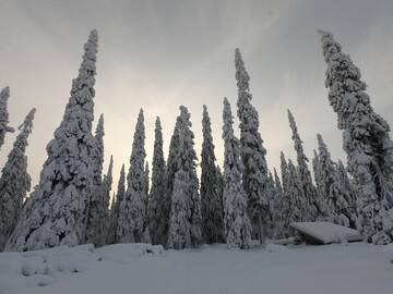 Фото номера Вилла Виллы Hietavilla Aurora г. Рука 44